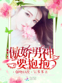 傲嬌男神要抱抱：強吻13次