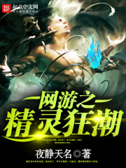 網游之精靈狂潮