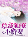 總裁獨(dú)撩小嬌妻