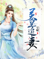 靈皇追妻