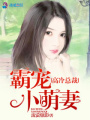 高冷總裁霸寵小萌妻