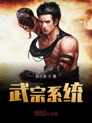 武宗系統