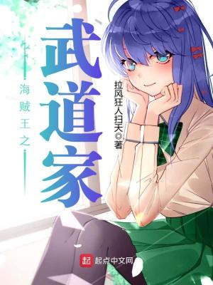 海賊王之武道家