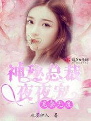 寵妻無度神秘總裁夜夜寵