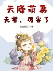 天降萌妻：夫君，厲害了