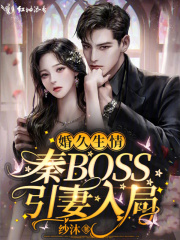 婚久生情秦BOSS引妻入局