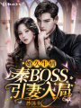 婚久生情：秦BOSS引妻入局