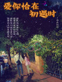 愛你恰在初遇時(shí)