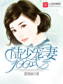 陸少寵妻100式
