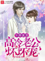 隱婚蜜愛：高冷老公，壞壞寵