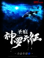 圣痕：神羅天征