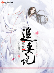 重生追妻記