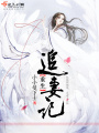 重生追妻記