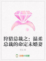 狩獵總裁之：溫柔總裁的命定未婚妻