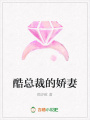 酷總裁的嬌妻