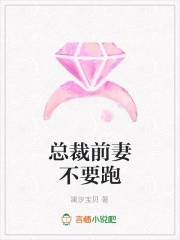總裁前妻不要跑