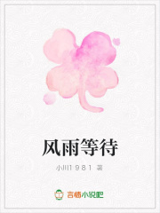 風雨等待
