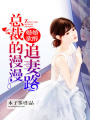 婚婚欲醉：總裁的漫漫追妻路