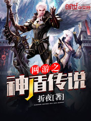 網游之神盾傳說