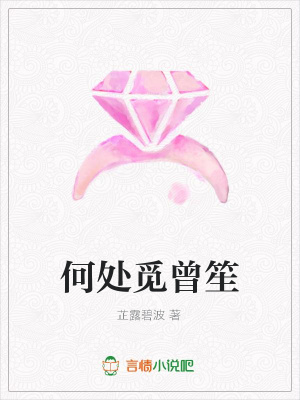 何處覓曾笙
