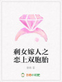 剩女嫁人之戀上雙胞胎