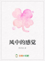 風中的感覺