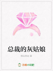 總裁的灰姑娘