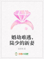 婚劫難逃，陸少的新妻