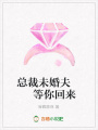 總裁未婚夫等你回來