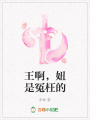 王啊，妞是冤枉的