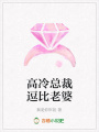 高冷總裁逗比老婆