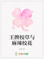 王牌校草與麻辣?；? class=