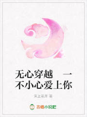 無心穿越一不小心愛上你