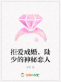 拒愛成婚，陸少的神秘戀人