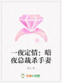 一夜定情：暗夜總裁殺手妻