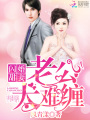 閃婚甜妻：老公太難纏