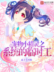 寵物小精靈之系統(tǒng)的臨時(shí)工