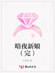 暗夜新娘（完）