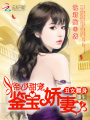 重生丑女翻身：帝少甜寵鑒寶嬌妻