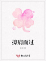 擦肩而過(guò)