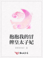 抱抱我的冒牌皇太子妃