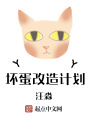 壞蛋改造計劃