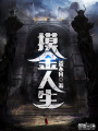 摸金人生
