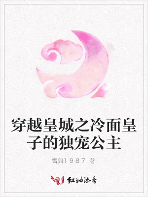 穿越皇城之冷面皇子的獨寵公主