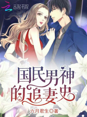 國民男神的追妻史