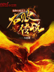 寵物小精靈之不敗傳說