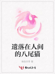遺落在人間的八尾貓