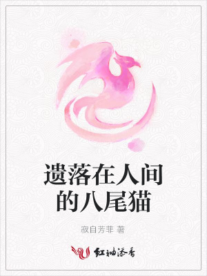 遺落在人間的八尾貓