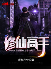 縱橫都市之修仙高手