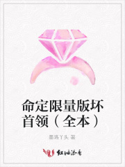 命定限量版壞首領（全本）